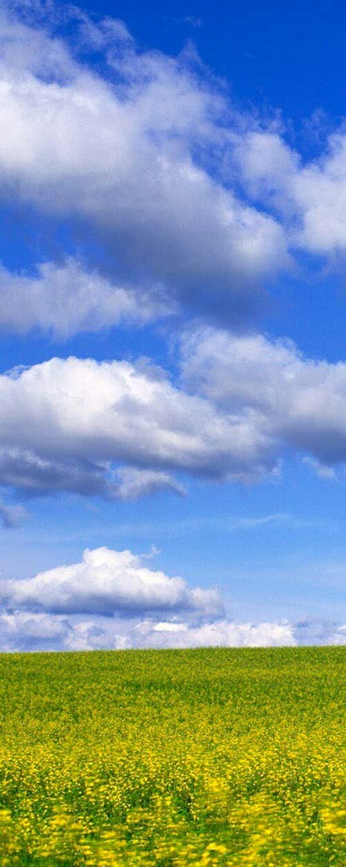 Пример изображения для макета изображения на стекле, фото 4